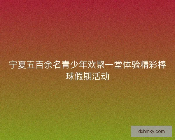 宁夏五百余名青少年欢聚一堂体验精彩棒球假期活动